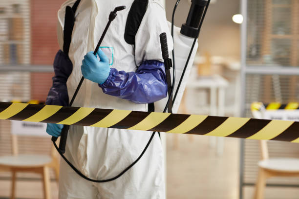 Professional Hoarding Cleanup technician working in Kendalia, TX